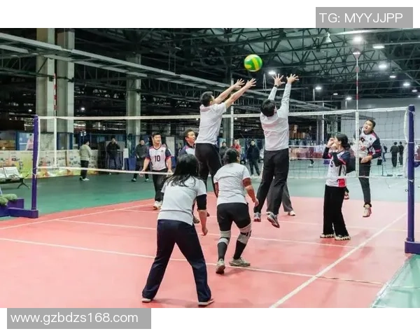 成都排球队团队协作新模式引发热议助力排球运动发展
